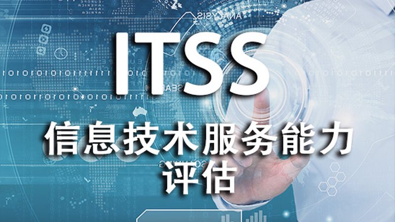信息技术服务投标报价技巧
